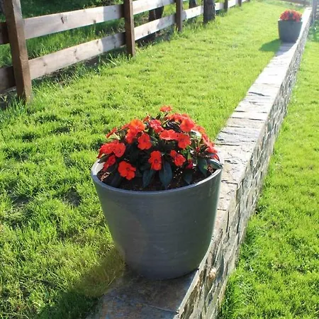 Apartamento Nordika *