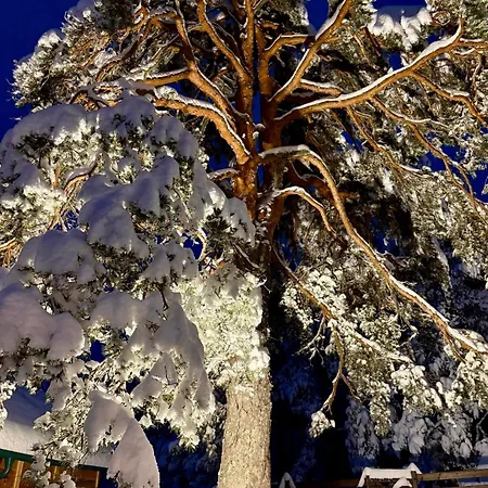 Apartamento Nordika *